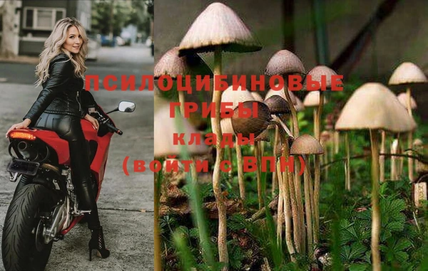 каннабис Заводоуковск