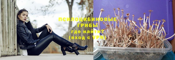 соль ск Заволжск
