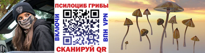 продажа наркотиков  darknet формула  omg зеркало  Псилоцибиновые грибы мухоморы  Новый Уренгой 
